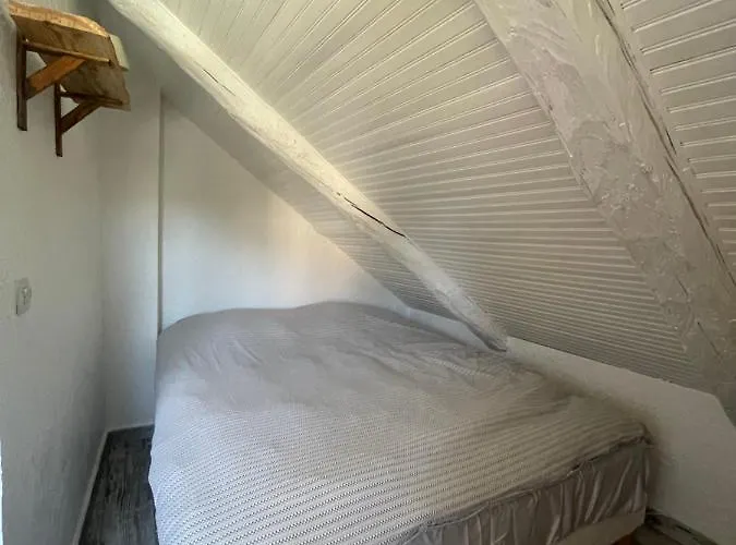 La Bergerie Dağ evi Roubion